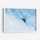 Contrastes en el cielo - FErB | Cuadro decorativo de Canvas Lab