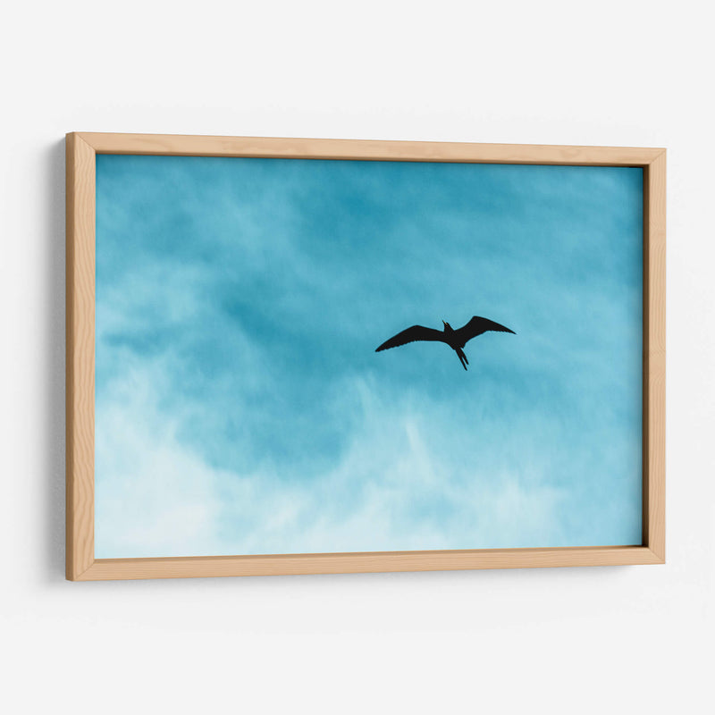 Abstractos de cielo - FErB | Cuadro decorativo de Canvas Lab