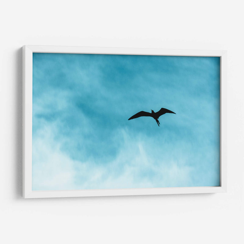 Abstractos de cielo - FErB | Cuadro decorativo de Canvas Lab