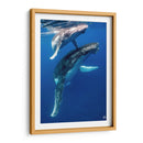 Ballenas jorobadas madre y cria foto vertical - Dominic Underwater | Cuadro decorativo de Canvas Lab