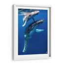 Ballenas jorobadas madre y cria foto vertical - Dominic Underwater | Cuadro decorativo de Canvas Lab