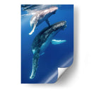 Ballenas jorobadas madre y cria foto vertical - Dominic Underwater | Cuadro decorativo de Canvas Lab
