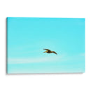 Ser Pelicano - FErB | Cuadro decorativo de Canvas Lab