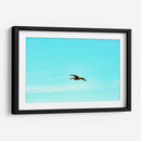 Ser Pelicano - FErB | Cuadro decorativo de Canvas Lab