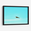 Ser Pelicano - FErB | Cuadro decorativo de Canvas Lab