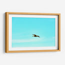 Ser Pelicano - FErB | Cuadro decorativo de Canvas Lab