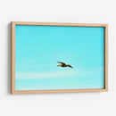 Ser Pelicano - FErB | Cuadro decorativo de Canvas Lab