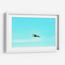 Ser Pelicano - FErB | Cuadro decorativo de Canvas Lab