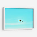 Ser Pelicano - FErB | Cuadro decorativo de Canvas Lab