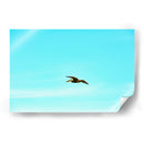 Ser Pelicano - FErB | Cuadro decorativo de Canvas Lab