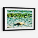 Abstractos y verdes del mar - FErB | Cuadro decorativo de Canvas Lab