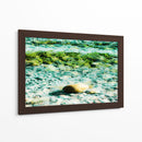 Abstractos y verdes del mar - FErB | Cuadro decorativo de Canvas Lab