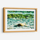 Abstractos y verdes del mar - FErB | Cuadro decorativo de Canvas Lab