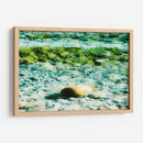 Abstractos y verdes del mar - FErB | Cuadro decorativo de Canvas Lab