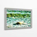 Abstractos y verdes del mar - FErB | Cuadro decorativo de Canvas Lab