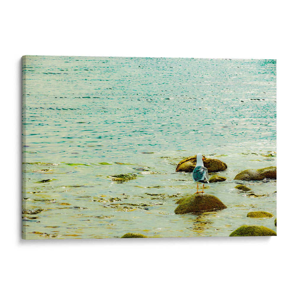 Verde musgo y aquamarino mar. - FErB | Cuadro decorativo de Canvas Lab