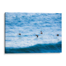 Pelicanos y olas - FErB | Cuadro decorativo de Canvas Lab