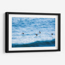 Pelicanos y olas - FErB | Cuadro decorativo de Canvas Lab
