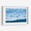 Pelicanos y olas - FErB | Cuadro decorativo de Canvas Lab