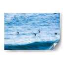 Pelicanos y olas - FErB | Cuadro decorativo de Canvas Lab