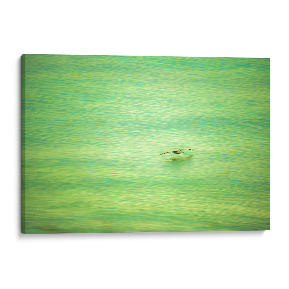 Planeo verde de pelicano - FErB | Cuadro decorativo de Canvas Lab