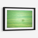 Planeo verde de pelicano - FErB | Cuadro decorativo de Canvas Lab