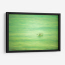 Planeo verde de pelicano - FErB | Cuadro decorativo de Canvas Lab