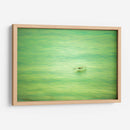 Planeo verde de pelicano - FErB | Cuadro decorativo de Canvas Lab