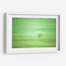 Planeo verde de pelicano - FErB | Cuadro decorativo de Canvas Lab