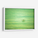 Planeo verde de pelicano - FErB | Cuadro decorativo de Canvas Lab