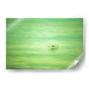 Planeo verde de pelicano - FErB | Cuadro decorativo de Canvas Lab