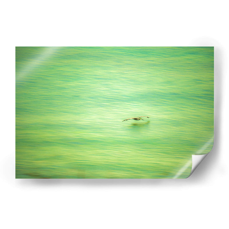 Planeo verde de pelicano - FErB | Cuadro decorativo de Canvas Lab