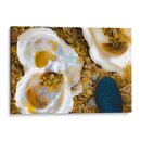 Conchas de amor y mar - FErB | Cuadro decorativo de Canvas Lab