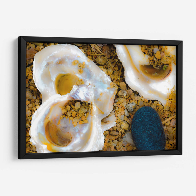 Conchas de amor y mar - FErB | Cuadro decorativo de Canvas Lab