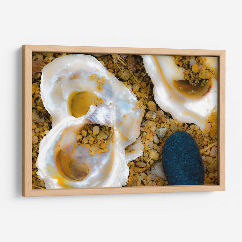 Conchas de amor y mar - FErB | Cuadro decorativo de Canvas Lab