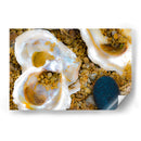 Conchas de amor y mar - FErB | Cuadro decorativo de Canvas Lab