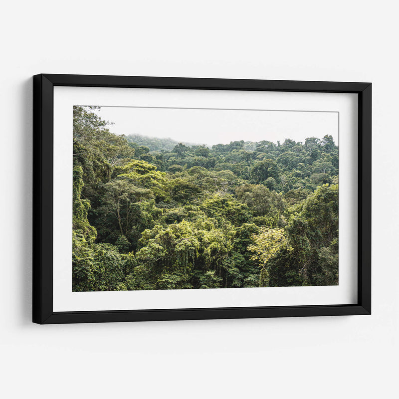 Perdidx en la selva - Tanya Amanrro | Cuadro decorativo de Canvas Lab