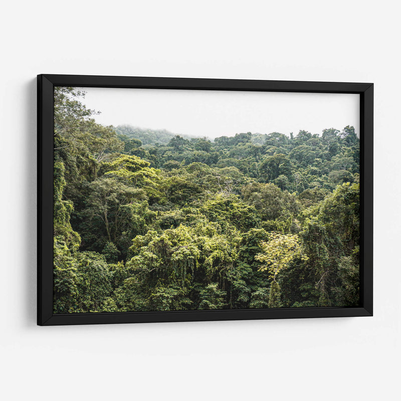 Perdidx en la selva - Tanya Amanrro | Cuadro decorativo de Canvas Lab