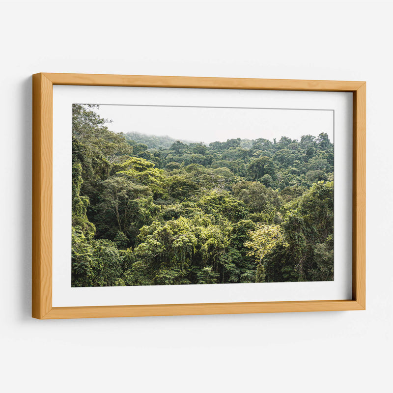 Perdidx en la selva - Tanya Amanrro | Cuadro decorativo de Canvas Lab