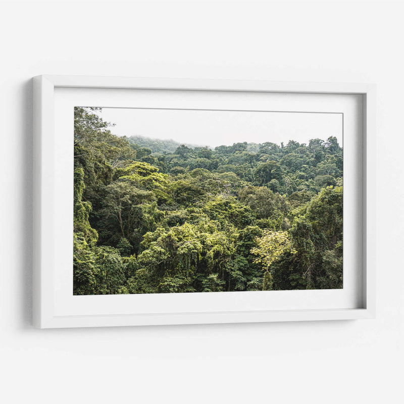 Perdidx en la selva - Tanya Amanrro | Cuadro decorativo de Canvas Lab