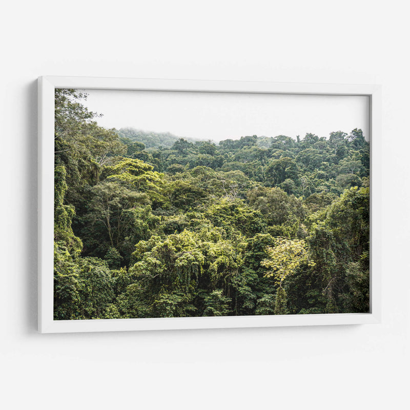 Perdidx en la selva - Tanya Amanrro | Cuadro decorativo de Canvas Lab