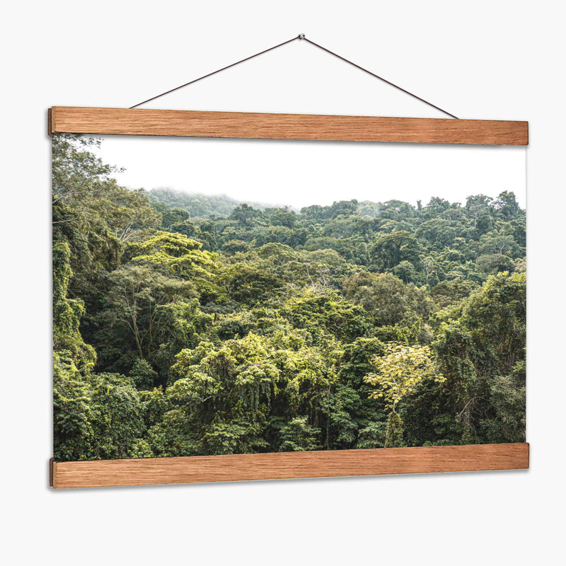 Perdidx en la selva - Tanya Amanrro | Cuadro decorativo de Canvas Lab