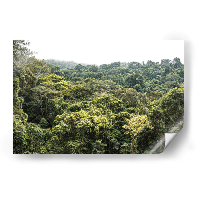 Perdidx en la selva - Tanya Amanrro | Cuadro decorativo de Canvas Lab