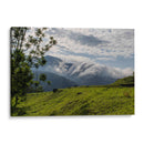 Huaxtla 02 - Charly Garibay | Cuadro decorativo de Canvas Lab