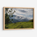 Huaxtla 02 - Charly Garibay | Cuadro decorativo de Canvas Lab