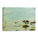 Gaviota entre verdes y azules - FErB | Cuadro decorativo de Canvas Lab