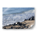 Pura paz - FErB | Cuadro decorativo de Canvas Lab