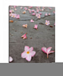 Banqueta de flores - PilVaz | Cuadro decorativo de Canvas Lab