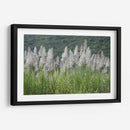 Caña de azúcar - PilVaz | Cuadro decorativo de Canvas Lab