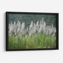 Caña de azúcar - PilVaz | Cuadro decorativo de Canvas Lab